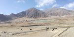 高原牧野牛群风景