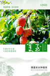 24节气夏至