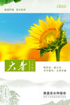 24节气大暑