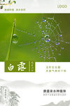 24节气白露