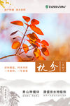 24节气秋分