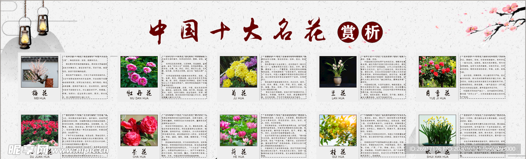 中国十大名花赏析