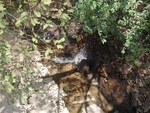 泉水