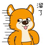 柴犬天天
