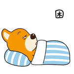 柴犬天天