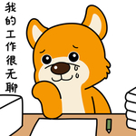 柴犬天天