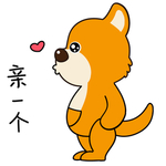 柴犬天天