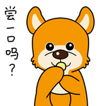 柴犬天天