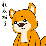 柴犬天天