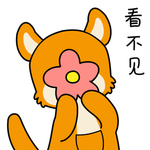 柴犬天天