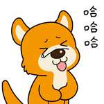 柴犬天天