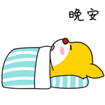 柴犬小飞