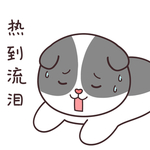 狗不了