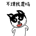哈宝点