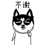 哈宝点