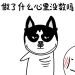 哈宝点