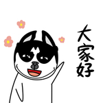 哈宝点