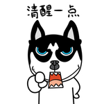 哈宝点