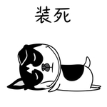 哈宝点