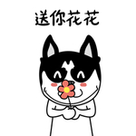 哈宝点