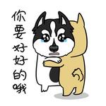 哈宝白