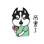 哈宝白