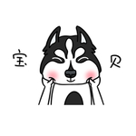 哈宝白