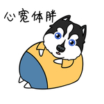 哈宝白