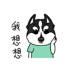 哈宝白