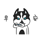 哈宝白