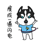 哈宝白