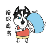 哈宝白