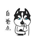 哈宝白