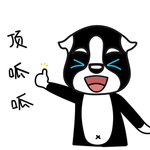 哈宝比