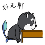 哈宝柴