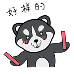 哈宝柴