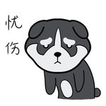 哈宝柴
