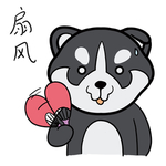 哈宝柴