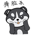 哈宝柴