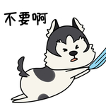 哈宝战