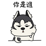 哈宝战