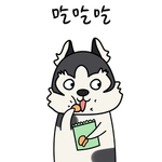 哈宝战