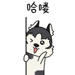 哈宝战