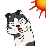 哈宝战