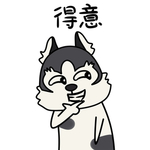 哈宝战