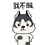 哈宝战