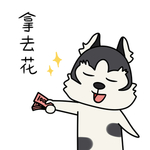 哈宝战