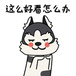 哈宝战