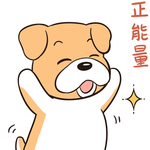 哈二飞