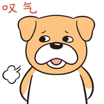 哈二飞